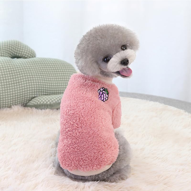 COCHPR winter dog clothes set on model looks cute and cozy