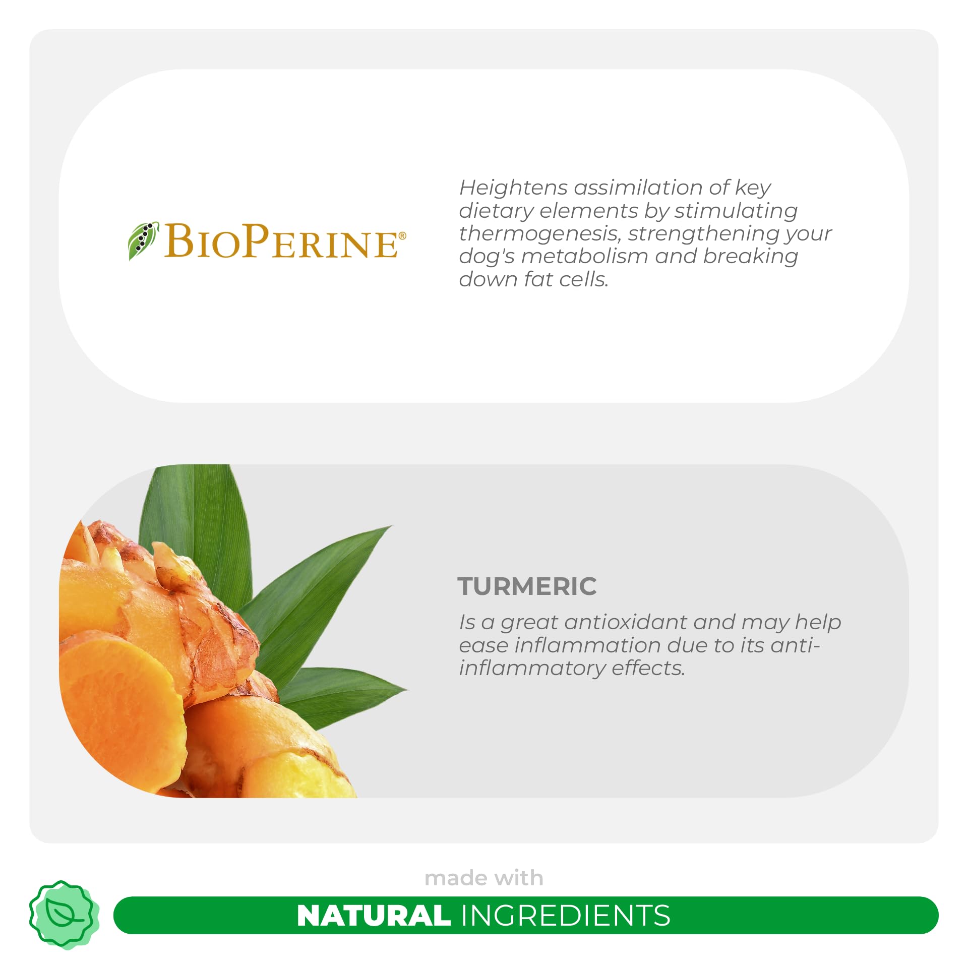 Coco and Luna BioPerine dogs digestive boost shown in product scene for absorption