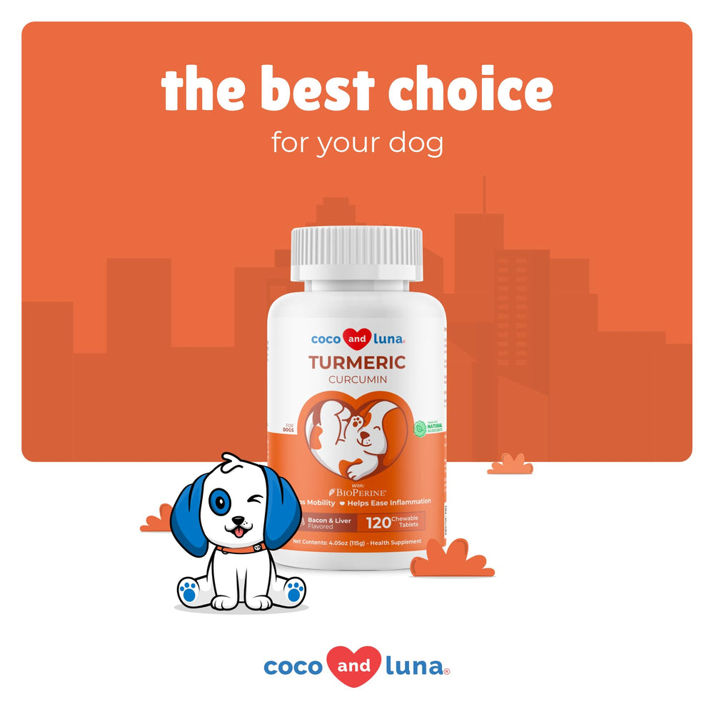 Coco and Luna cardiovascular support dogs image promotes heart-friendly wellness