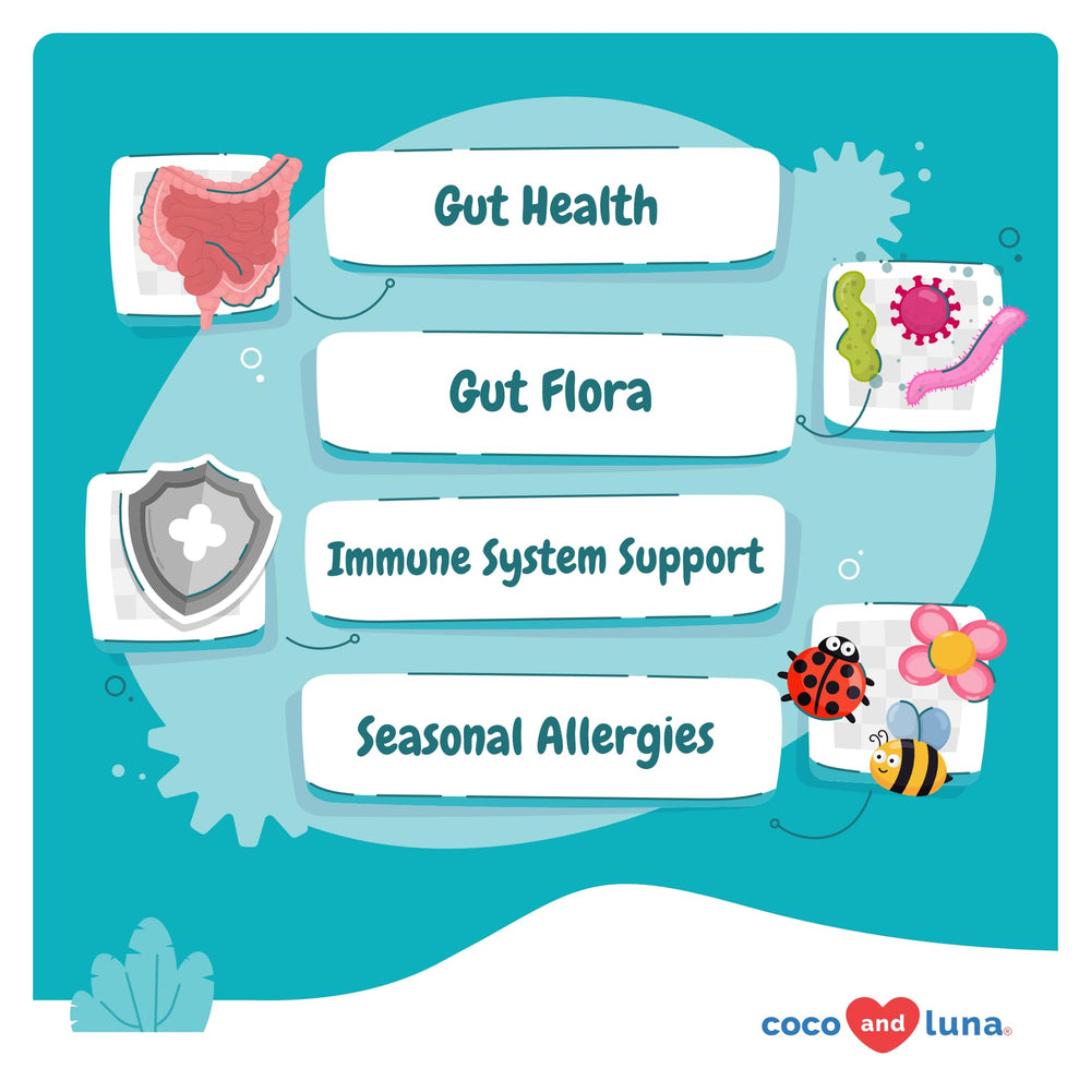 Coco and Luna digestive balance illustration showing healthy gut microflora support