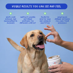 Coco and Luna packaging highlights vet-formulated allergy care for dogs.