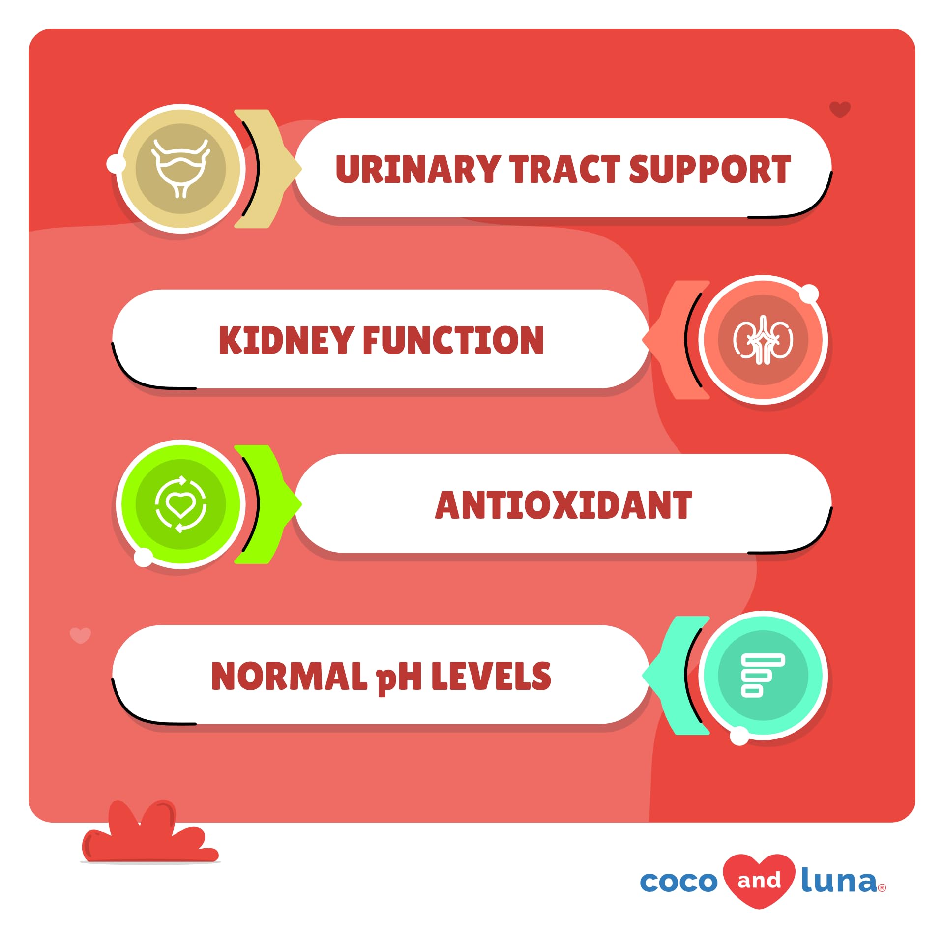 Coco and Luna dog urinary tract harmony tablets on bottle highlighting bladder strength