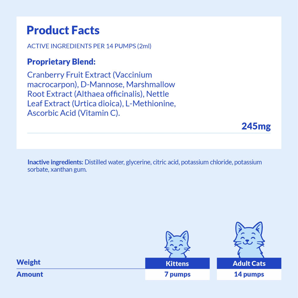 Coco and Luna Echinacea close-up suggests natural anti-inflammatory properties for comfort.