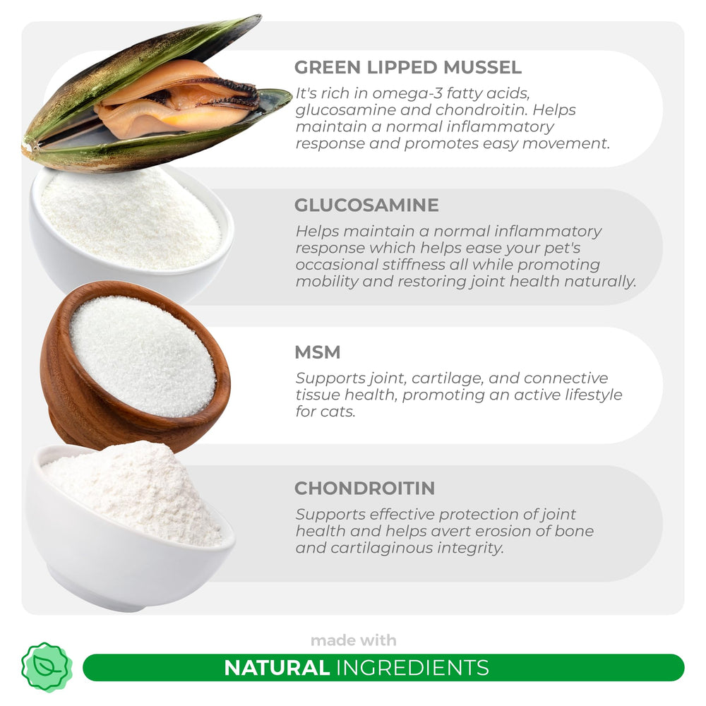 Coco and Luna green lipped mussel powder ingredient for natural joint support.