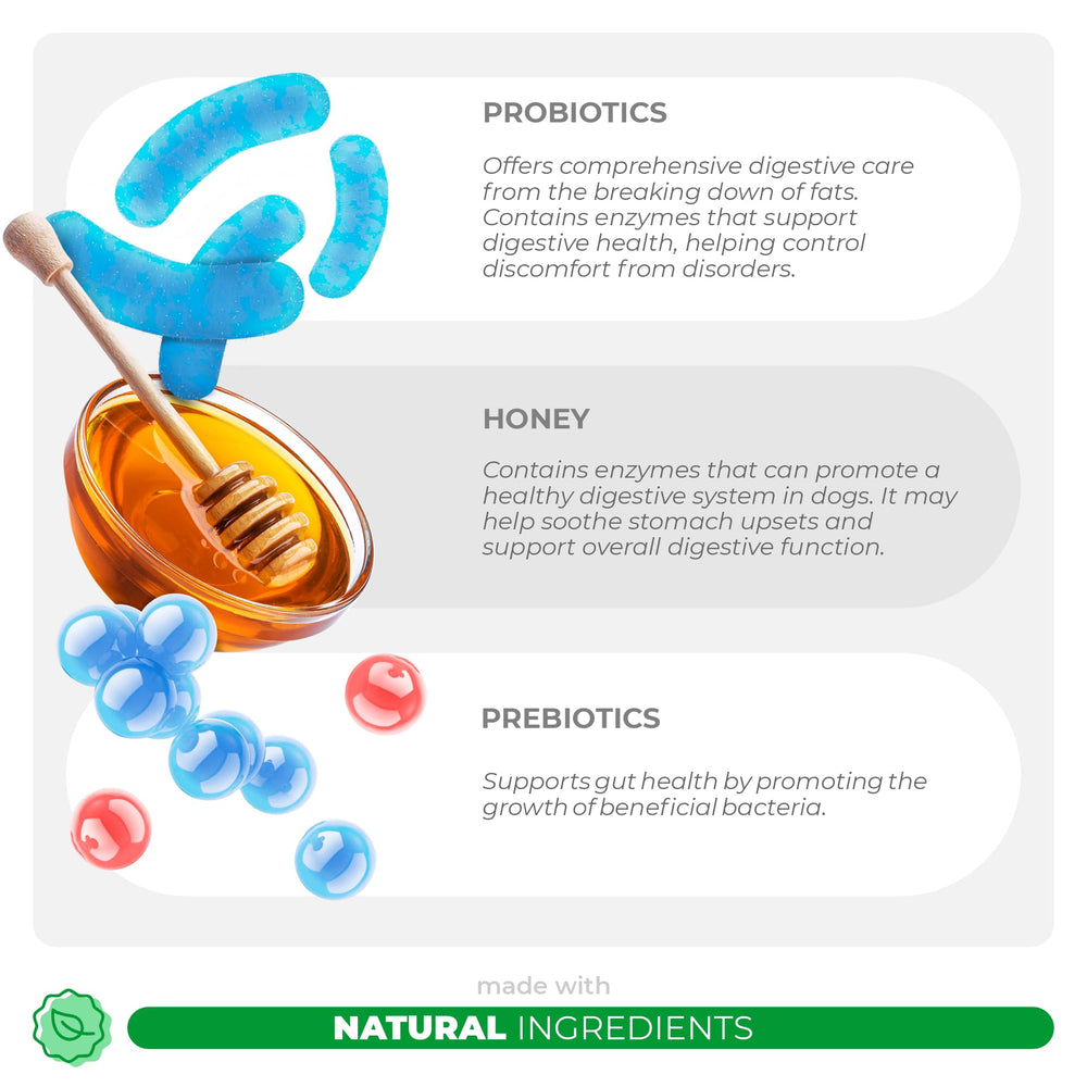 Coco and Luna ingredients lineup featuring honey, pumpkin, and prebiotics