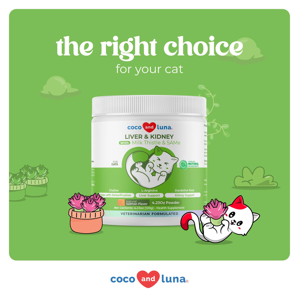 Coco and Luna USA-made facility ensures quality in every batch