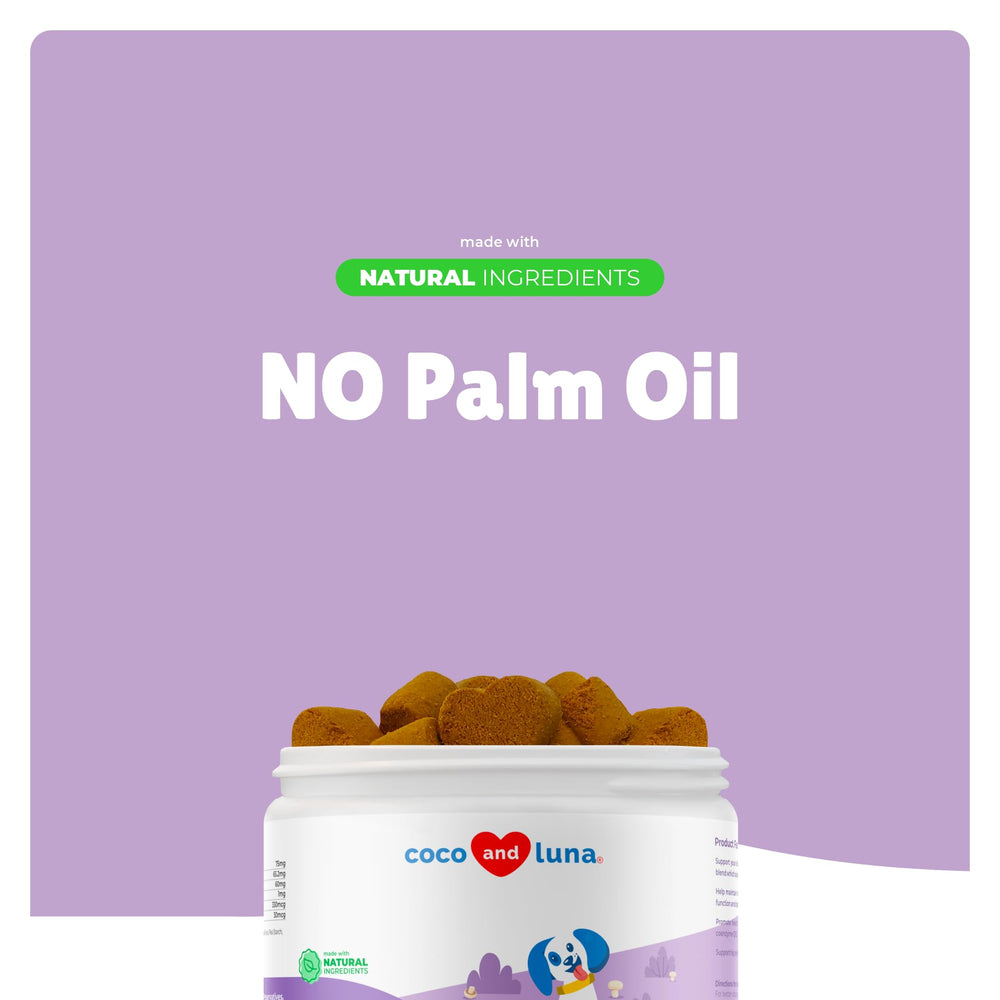 Coco and Luna Mushroom Complex dog shiitake soft chews support digestive balance and overall wellness