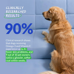 Coco and Luna Omega-3 dog joint support in use.