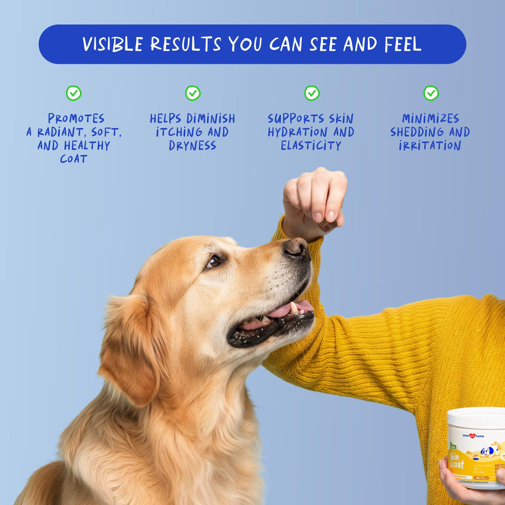 Coco and Luna Omega-3 dog skin and coat close-up for healthy fur.