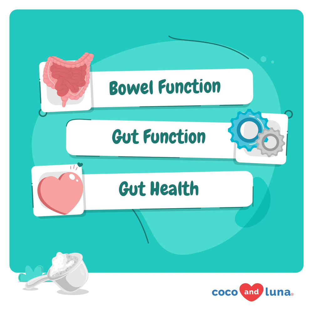 Coco and Luna Probiotics Cat Powder Spoon demonstrates easy serving for meals.