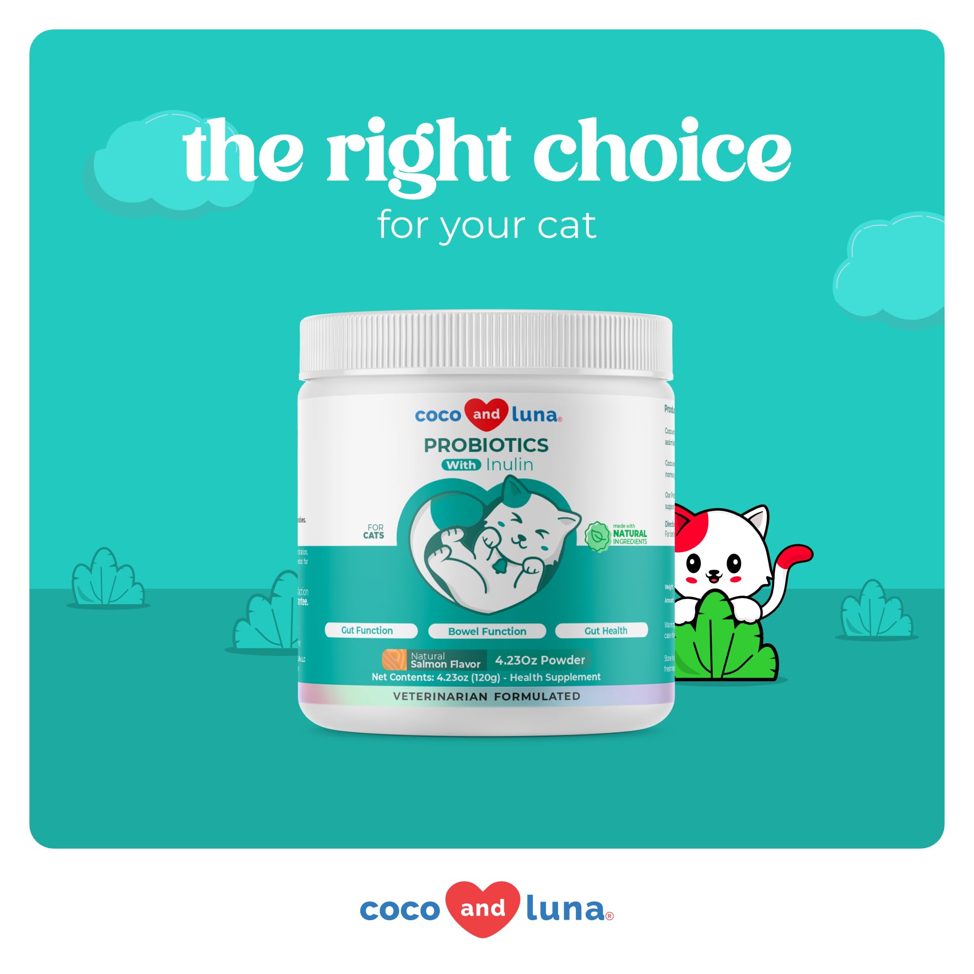 Coco and Luna Probiotics Cat Powder Closeup Texture reveals smooth, mixable powder.