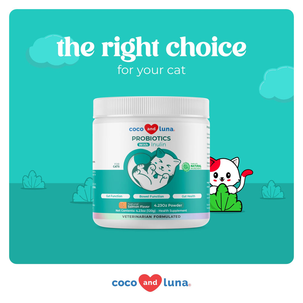 Coco and Luna Probiotics Cat Powder Closeup Texture reveals smooth, mixable powder.