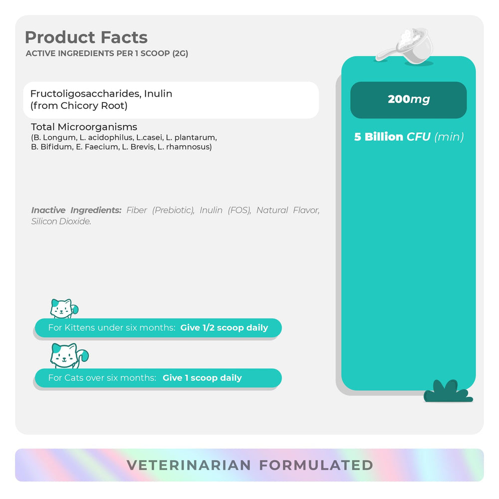 Coco and Luna Probiotics Powder Bottle Closeup highlights premium blend.