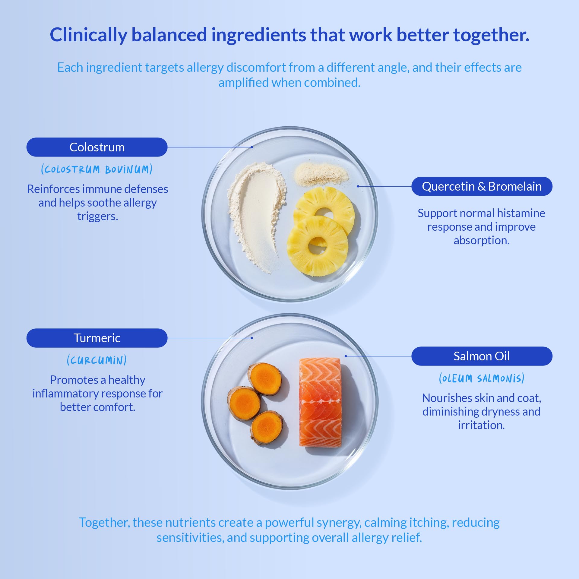 Coco and Luna quercetin capsules support seasonal comfort for dogs.