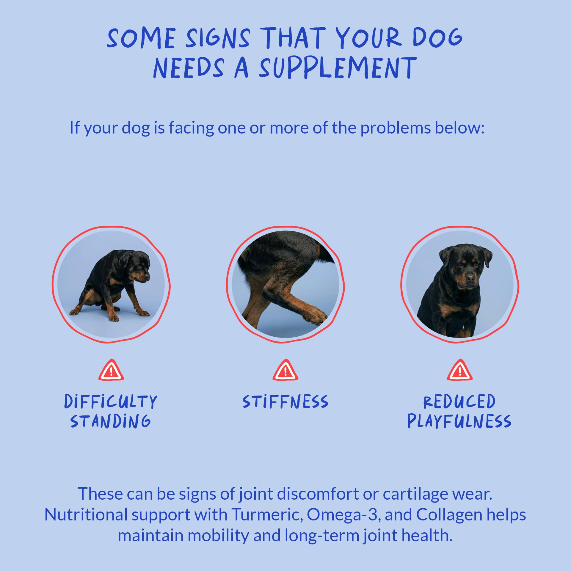 Coco and Luna turmeric dog soft chews BioPerine aids nutrient absorption in a dog wellness context.
