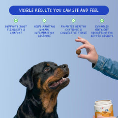 Coco and Luna turmeric dog soft chews closeup shows textured golden chews rich in curcumin.