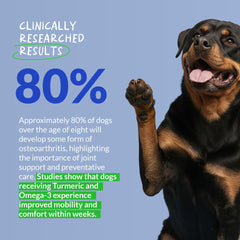 Coco and Luna turmeric dog soft chews joint-mobility view notes collagen and fish oil benefits.