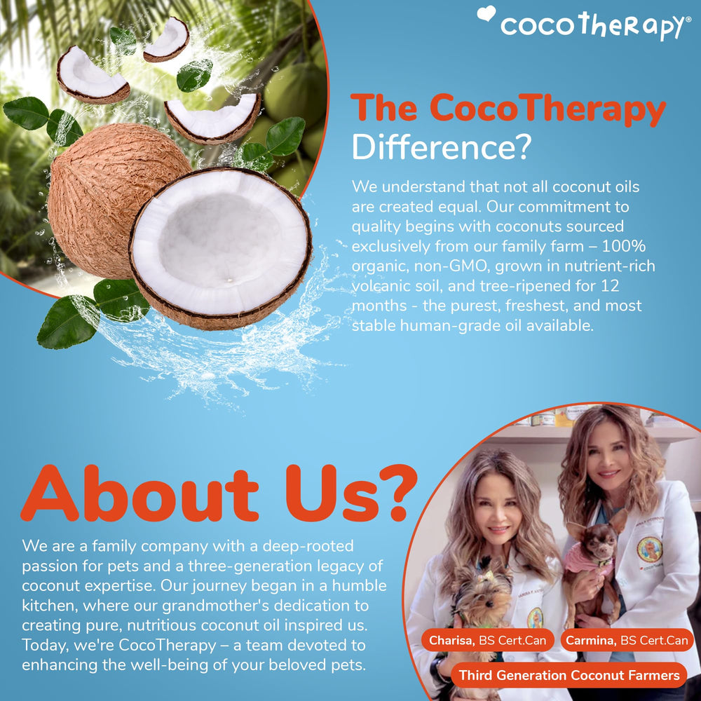 Cocotherapy Coco-Charms Blueberry Cobbler snack time shows happy dog enjoying reward