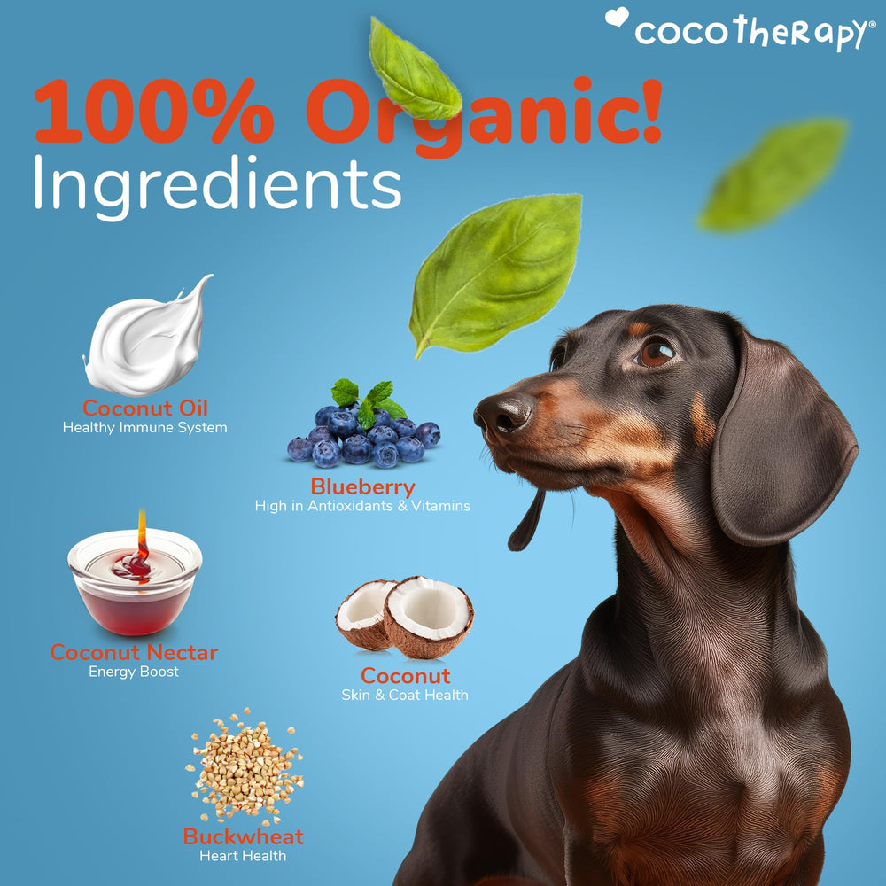 Cocotherapy Coco-Charms Blueberry Cobbler training session shows tiny bites for positive reinforcement