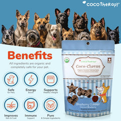 Cocotherapy Coco-Charms Blueberry Cobbler treat closeup highlights natural colors and blueberry scent