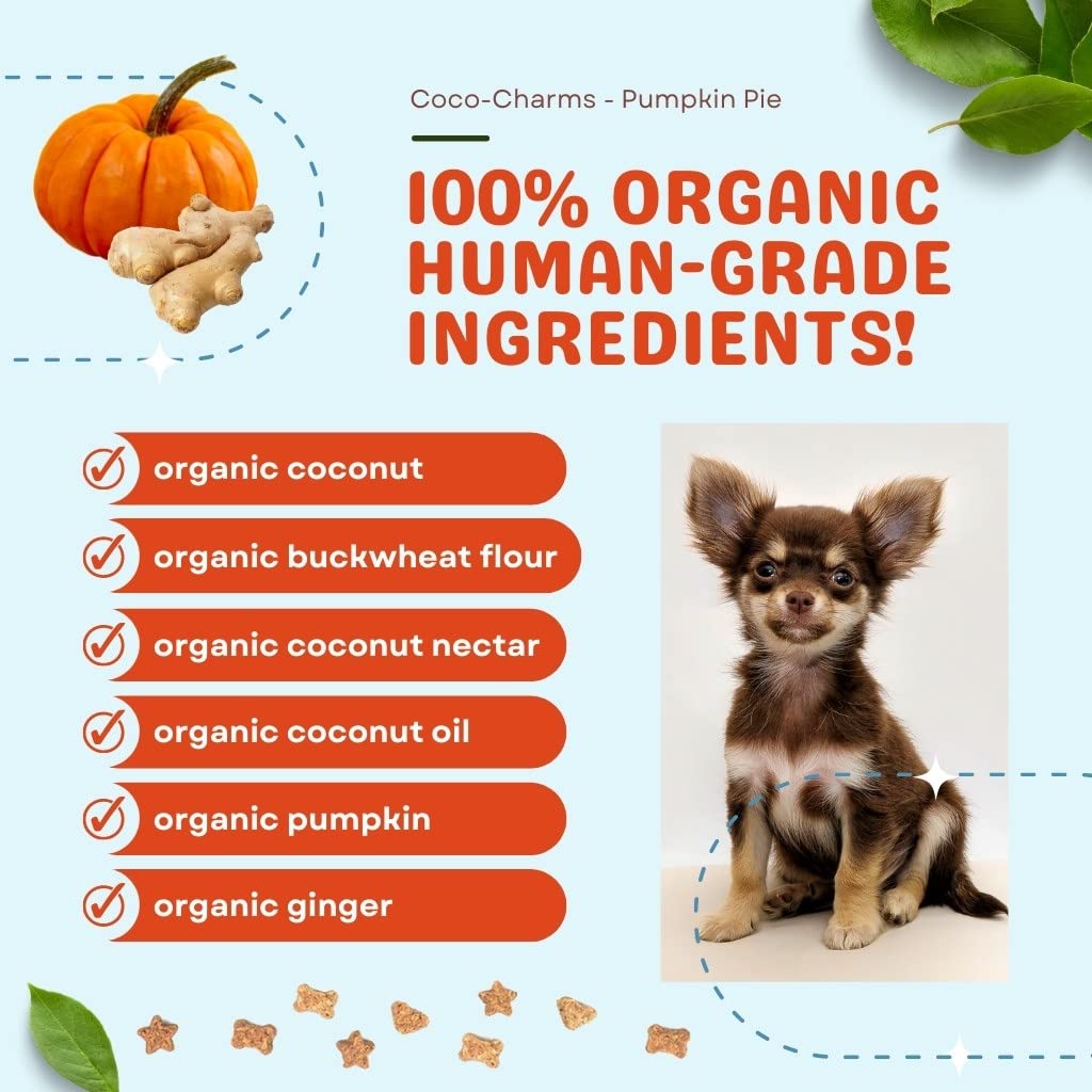 Ginger and pumpkin flavor visuals highlight natural, flavorful pumpkin pie profile.