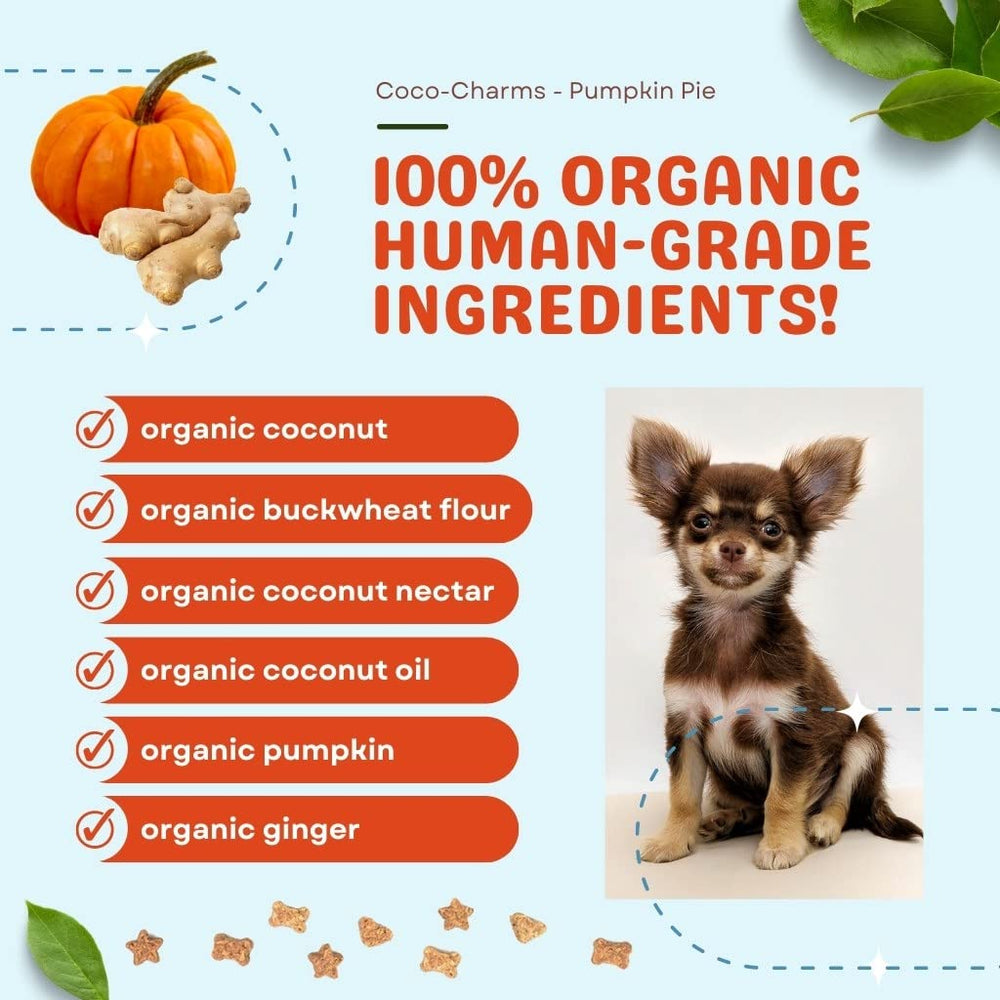 Ginger and pumpkin flavor visuals highlight natural, flavorful pumpkin pie profile.