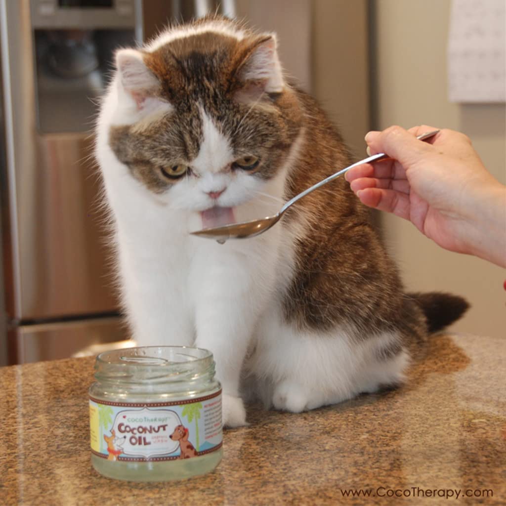 CocoTherapy dog digestion and immunity support closeup highlights versatile daily supplement.