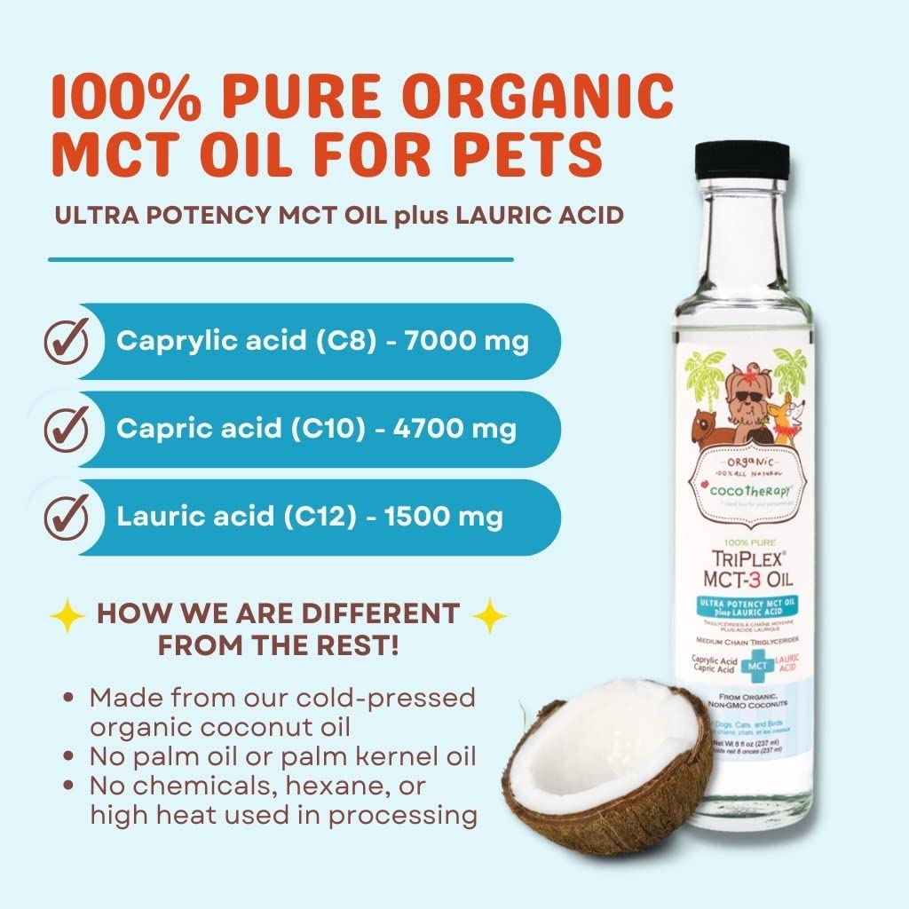 Cocotherapy Triplex MCT-3 Oil in kitchen setup suggests easy daily integration.