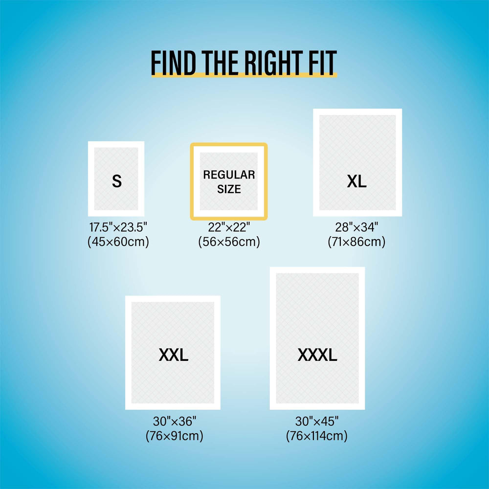 COCOYO Best Value Training Pads built-in attractant supports easier puppy training sessions.