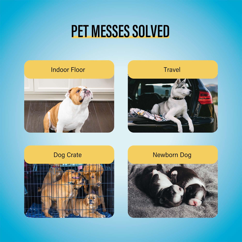 COCOYO Best Value Training Pads leak-proof back layer protects floors.