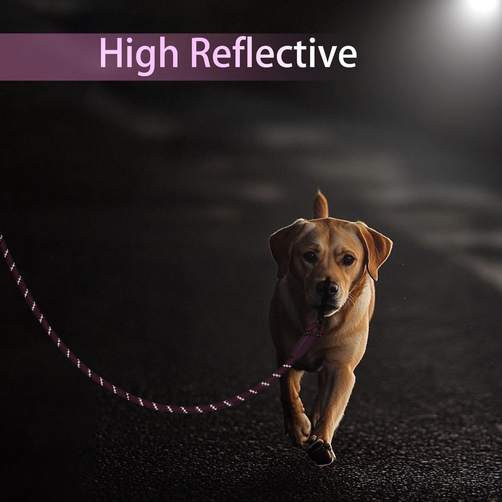 Codepets leash available in 6-40 feet for versatile training and walks