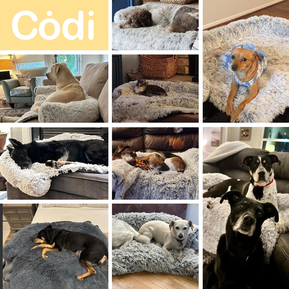 Codi Large Calming Dog Bed sofa-protector shows fur protection during couch time.