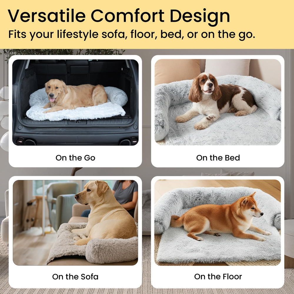 Codi XL dog relaxing on the bed demonstrates its roomy comfortable space.