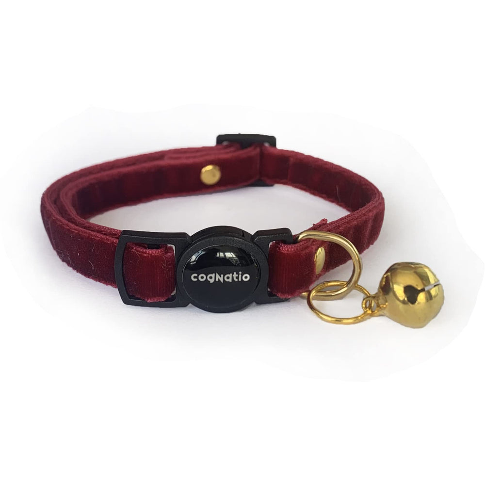 Cognatio safety quick-release buckle collar offers easy release if snagged.