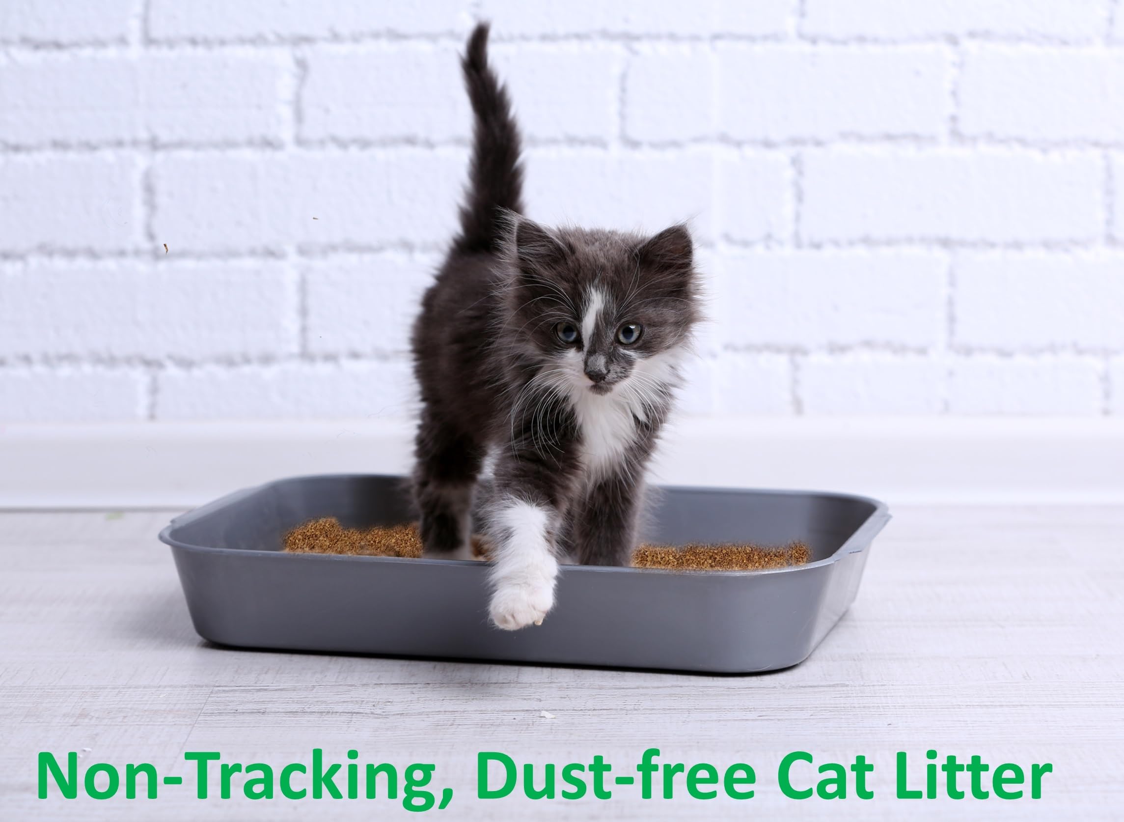 Coir Wonder biodegradable eco-friendly label communicates plant-based, compost-friendly benefits