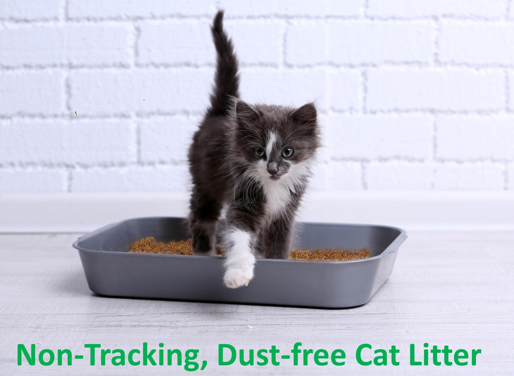 Coir Wonder biodegradable eco-friendly label communicates plant-based, compost-friendly benefits