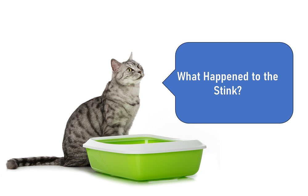 Coir Wonder odor elimination in litter box keeps home smelling clean and inviting.