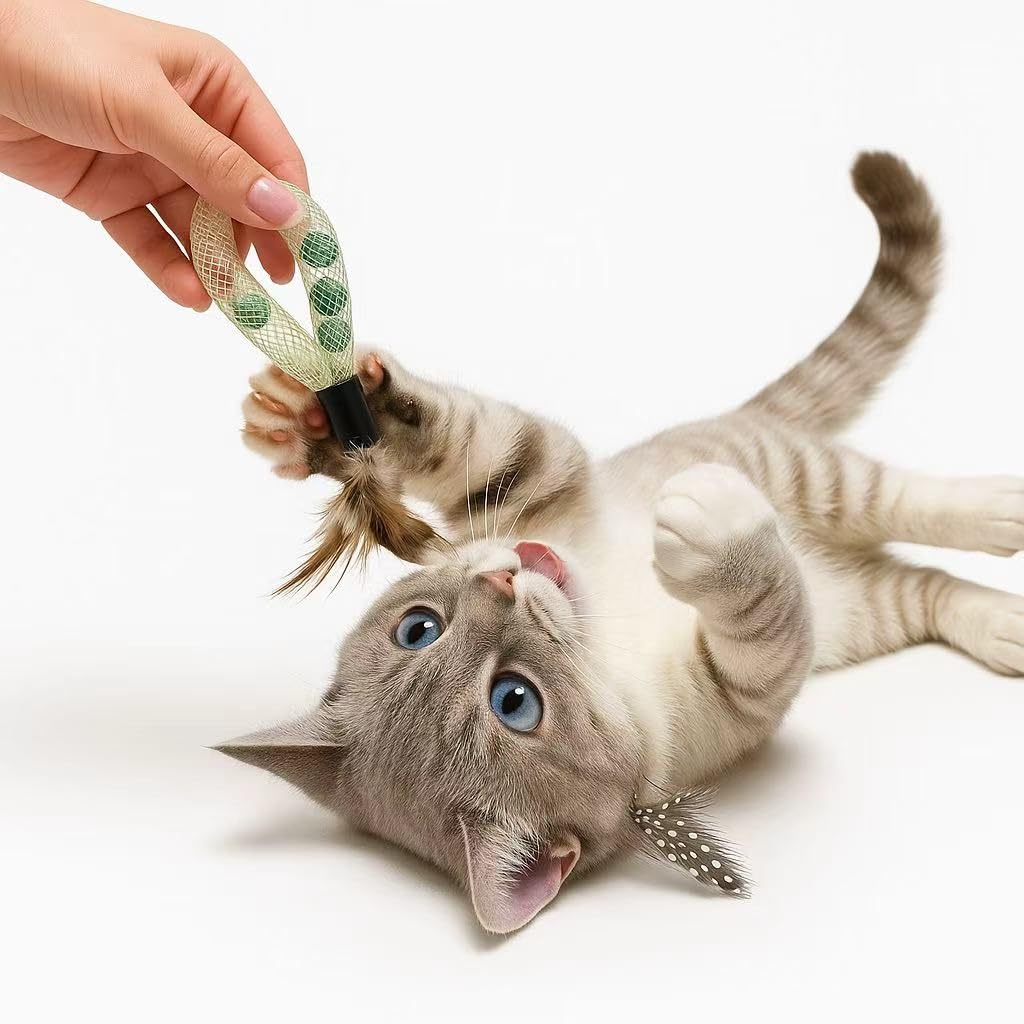 Coivnl bell teaser toy delivers jingling sounds to attract attention during play