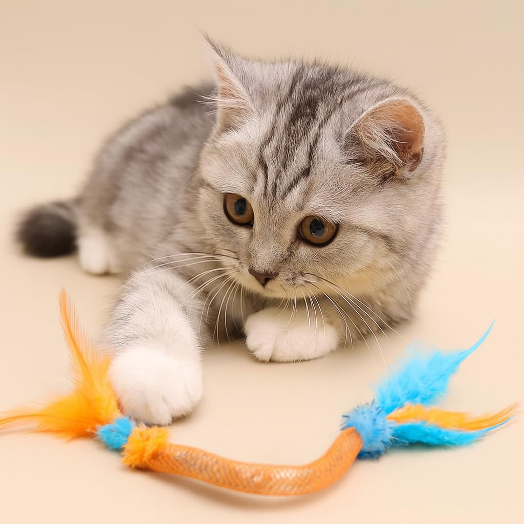 Coivnl gift-ready cat toy set ideal for gifting cat lovers