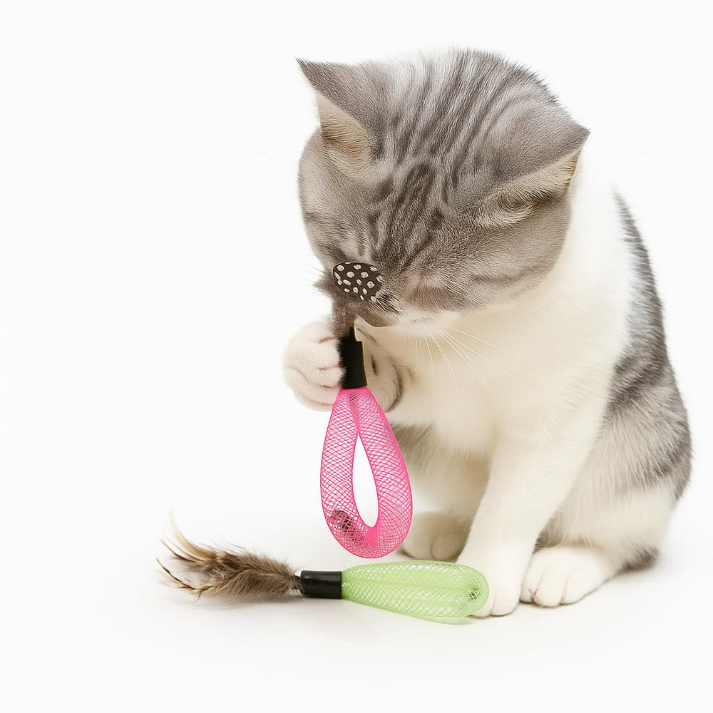 Coivnl indoor cat play variety set supports exercise with colorful tactile toys