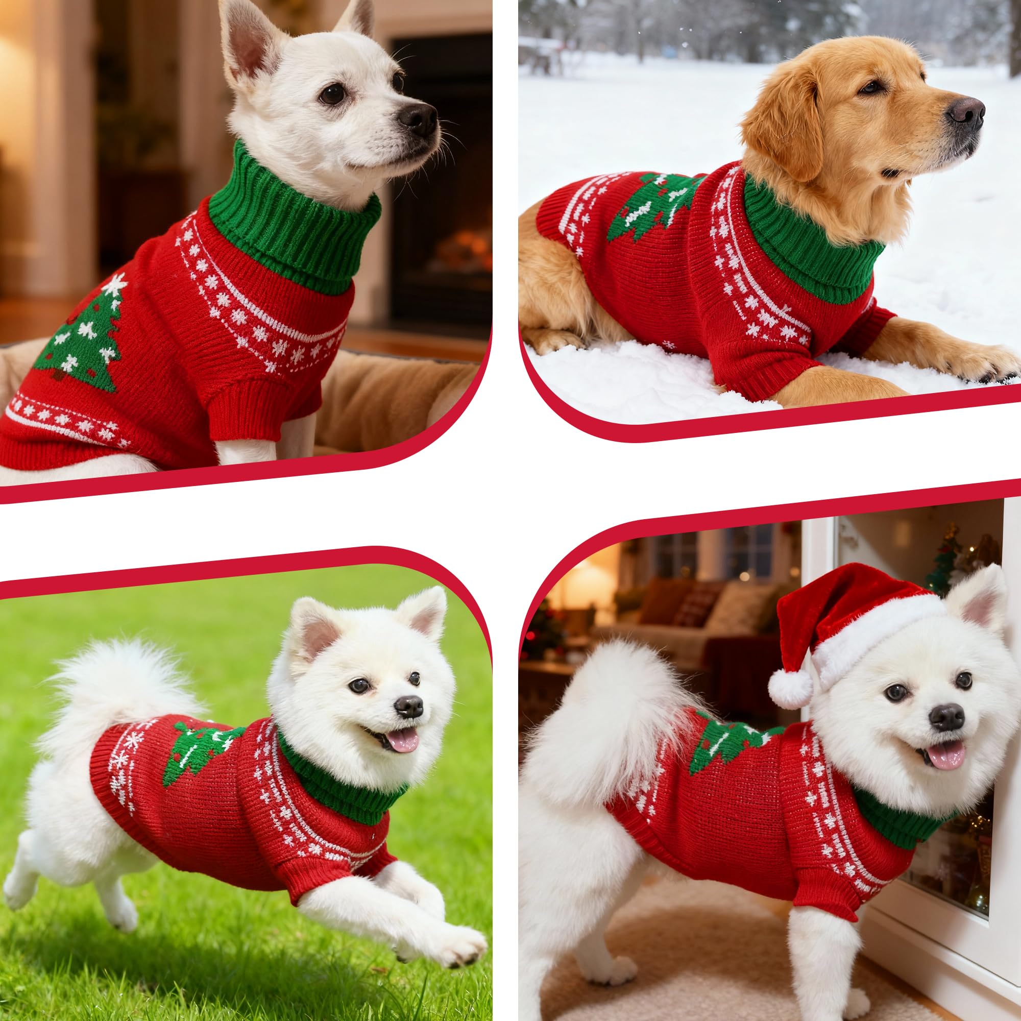 COJBPET package shown, easy to wrap as a gift.