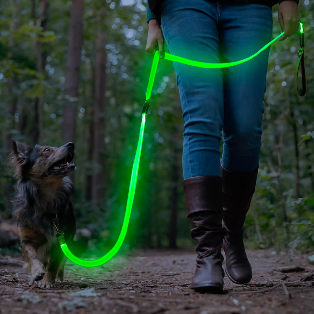 Colaseeme charging USB cable keeps the leash ready for use.