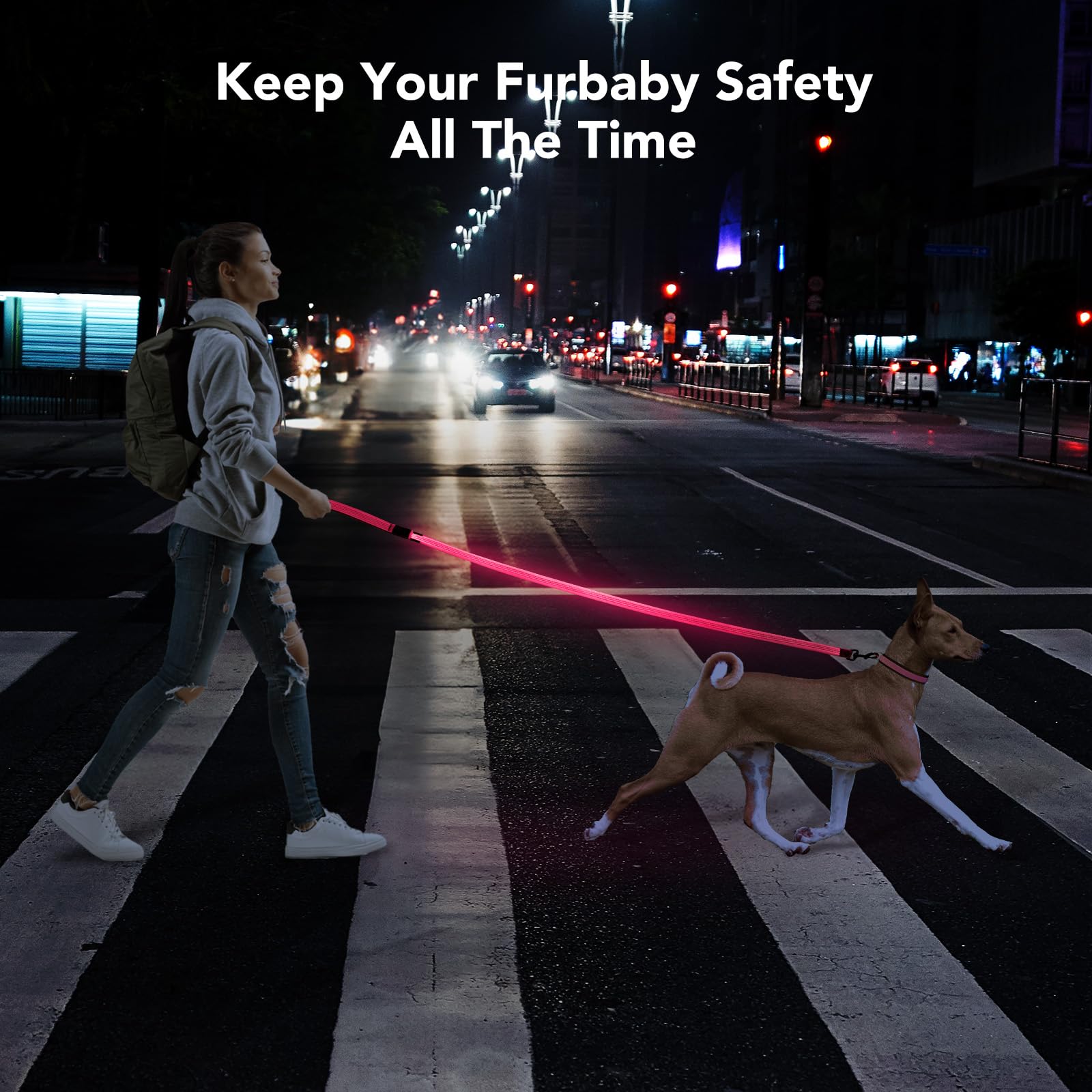 Colaseeme LED leash pairs with collar for enhanced night visibility.