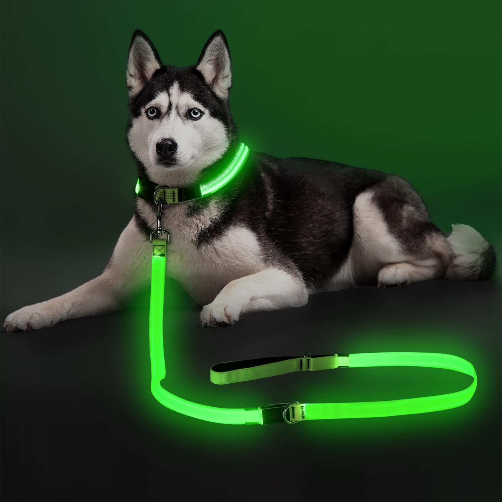 Colaseeme light-up dog leash 6ft green glows for safer night walks.