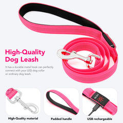 Colaseeme 4ft leash highlighting easy control during evening strolls.
