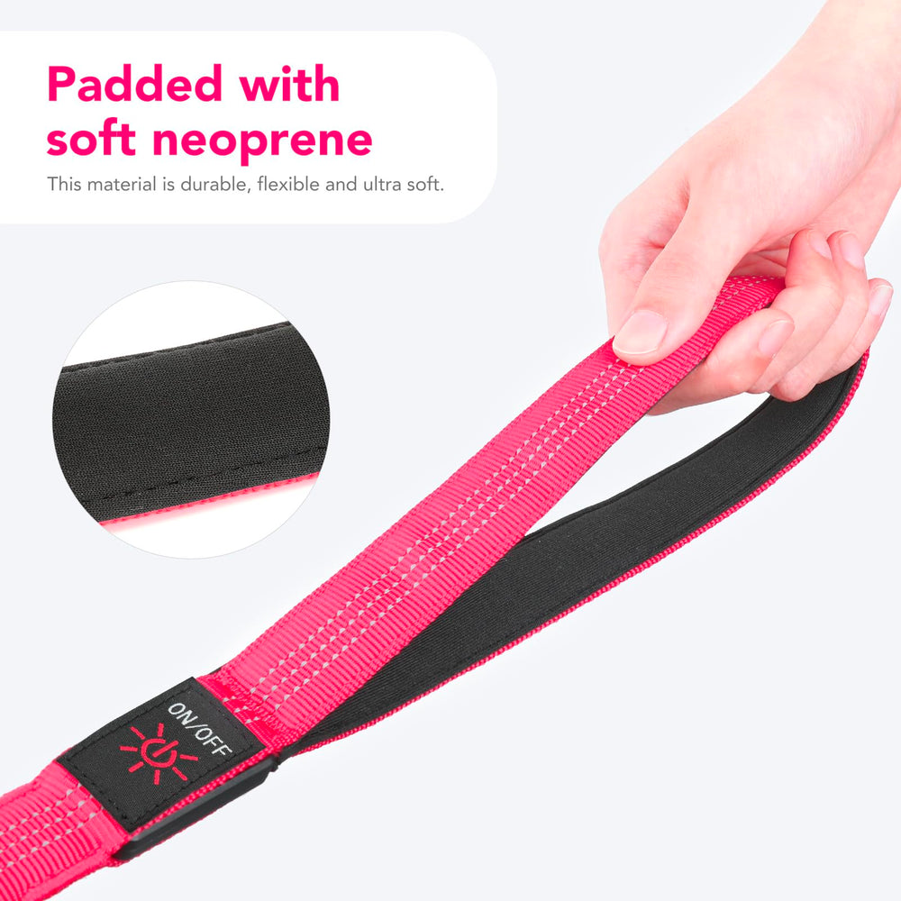 Colaseeme light up leash shows steady and blinking modes in use.
