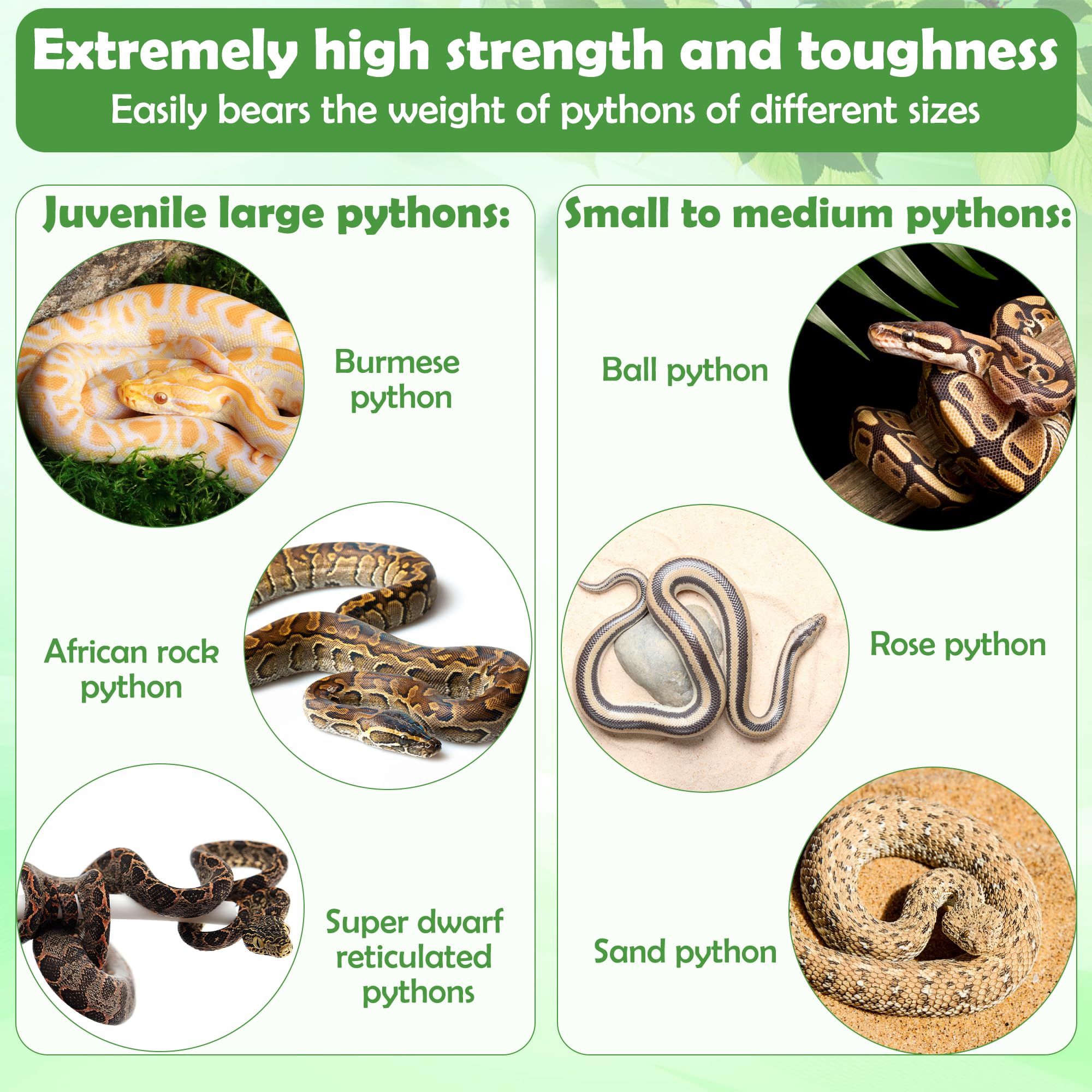 Coldairsoap multi-species approval image underscores versatile enclosure use for various pets.