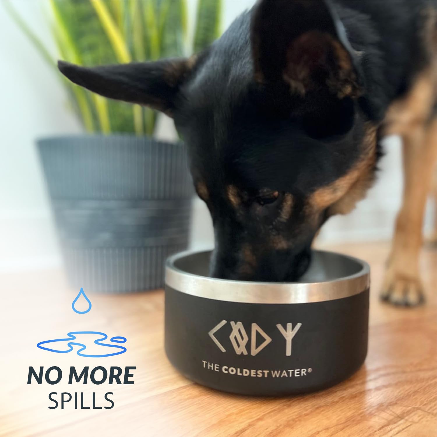 Coldest Water dog bowl is dishwasher-safe for easy cleaning.