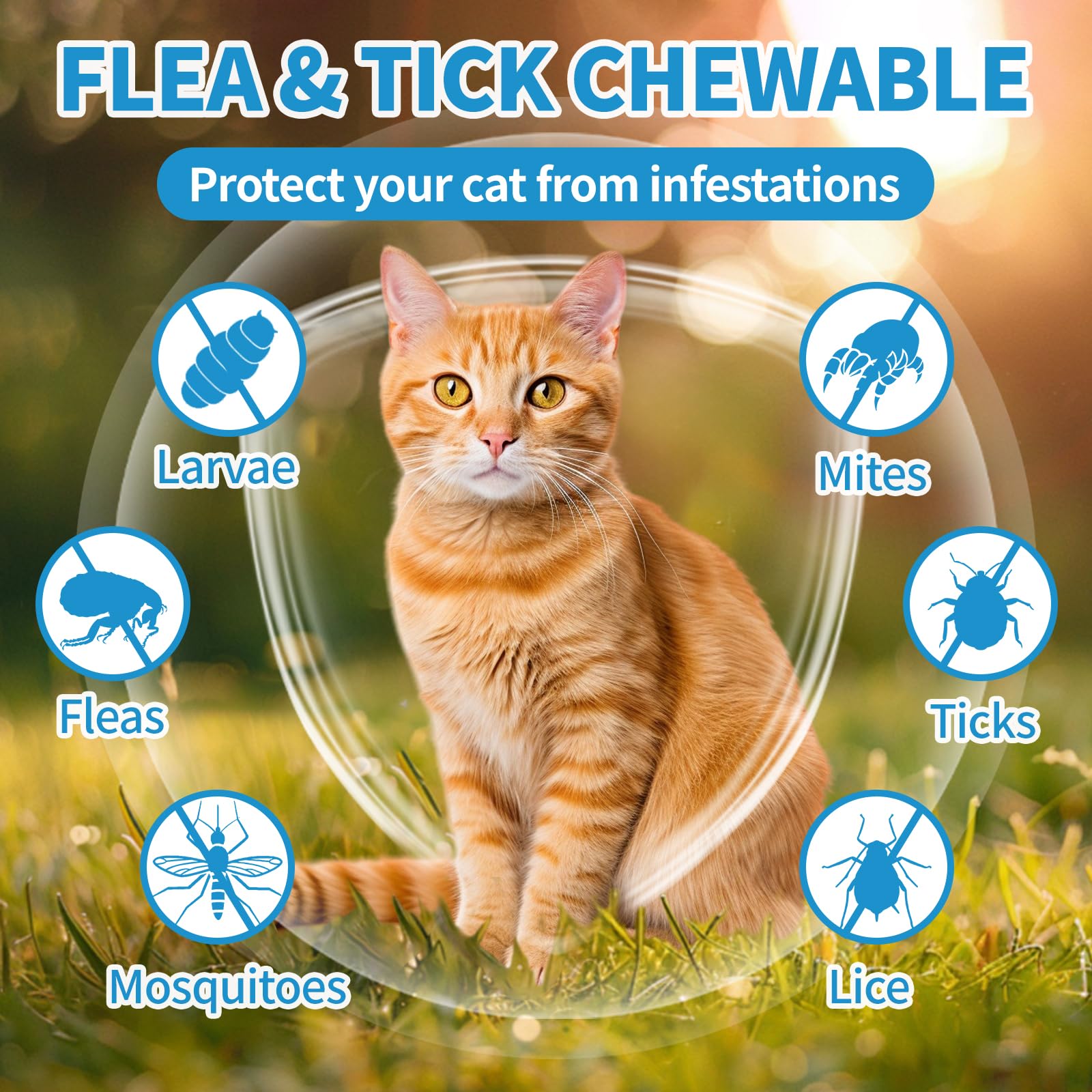 ColEaze flea and tick chews bottle label highlights natural ingredients for skin support.
