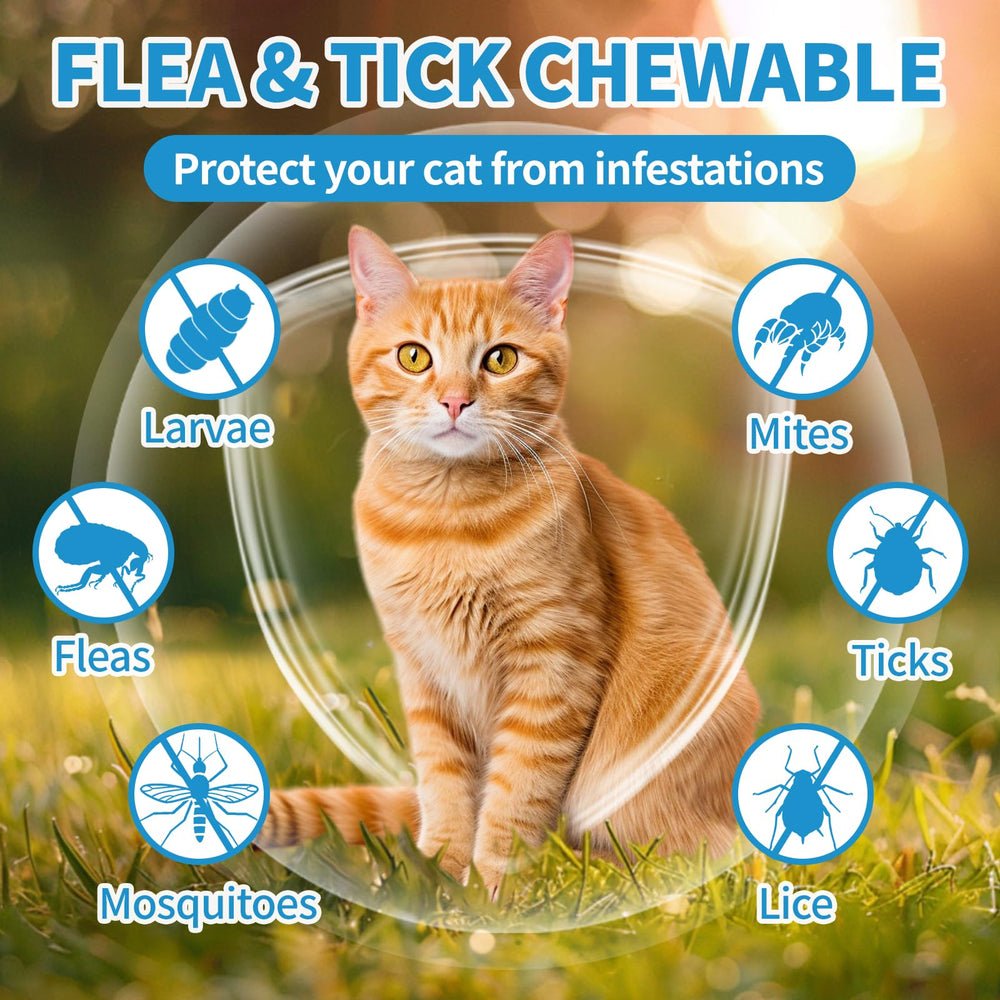 ColEaze flea and tick chews bottle label highlights natural ingredients for skin support.
